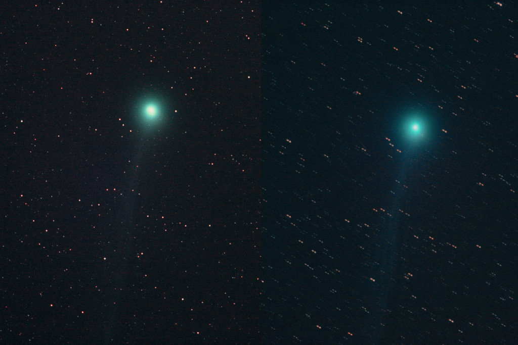 Comet C/2014 Q2 (Lovejoy), Bob Christmas